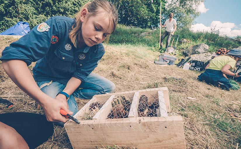 Amelie Ossians­son bygger ett insekthotell som ska säljas på  fredagens marknad till förmån för BIAL.
