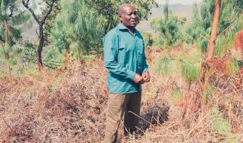 Trädplantering för mission