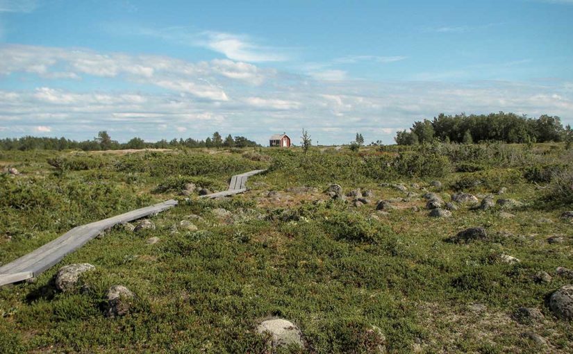 Rover­scouterna på vandring i Sveriges nordligaste skärgård