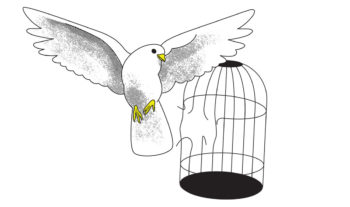 Frihet & identitet