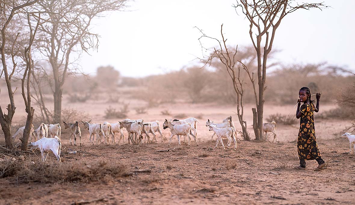 Bilder: Magdalena Vogt