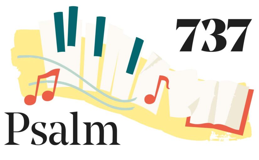 737: Ej upplysta gårdar