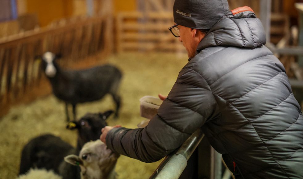 Gården i Hara passade perfekt; Sofia ville ha får och Johan hade länge haft en längtan till Norrlands inland.