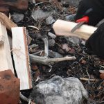 Att få lära sig om och vistas i naturen är en viktig del i Scout.